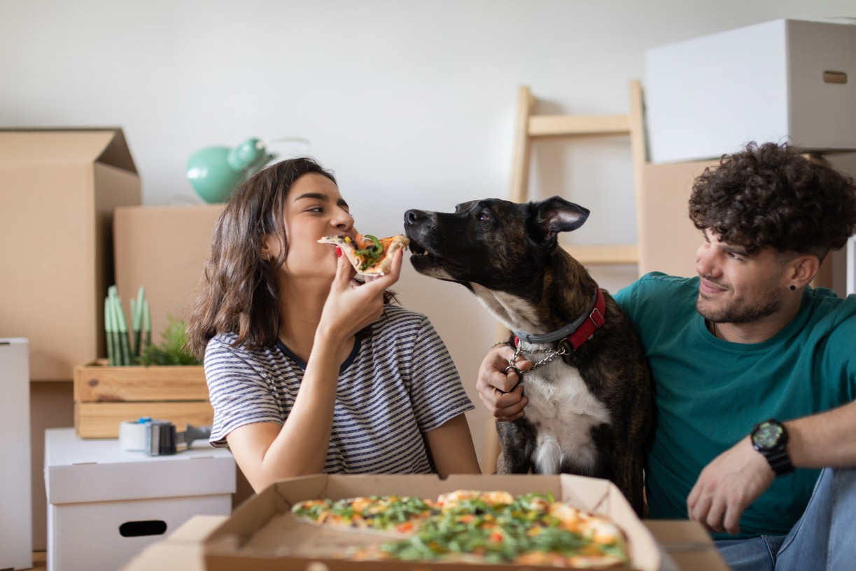 A couple eat pizza with their dog in a new home surrounded by moving boxes