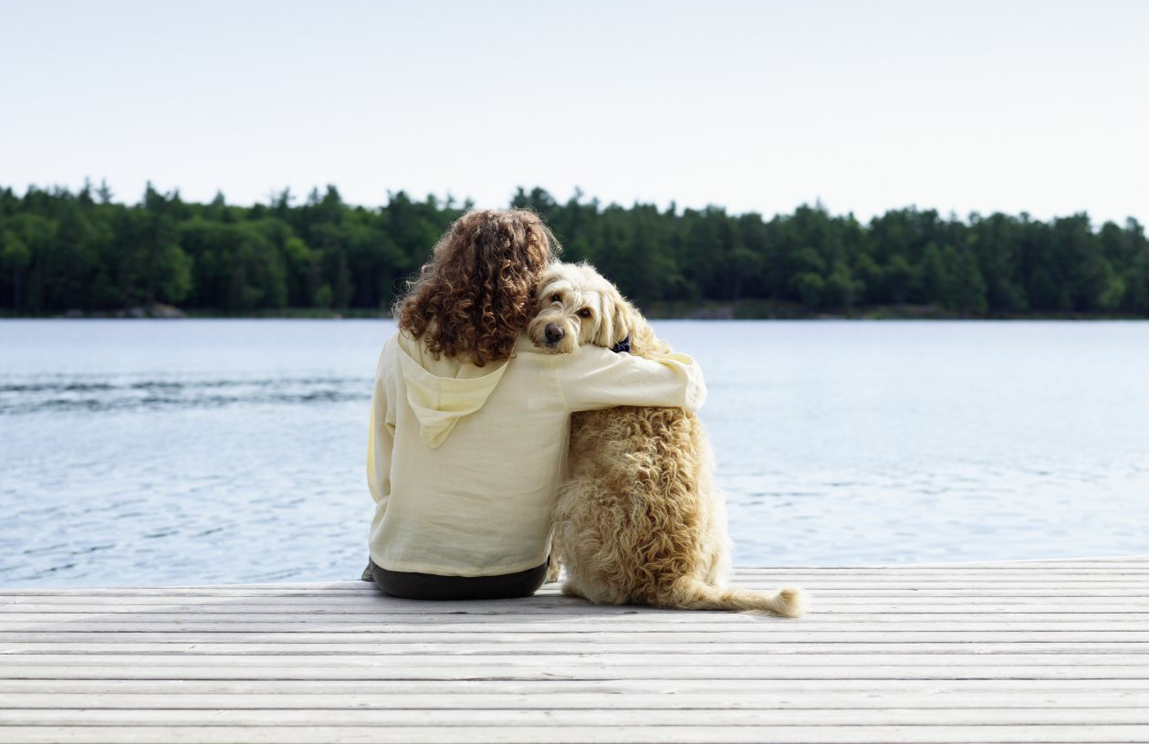 How to save on pet expenses